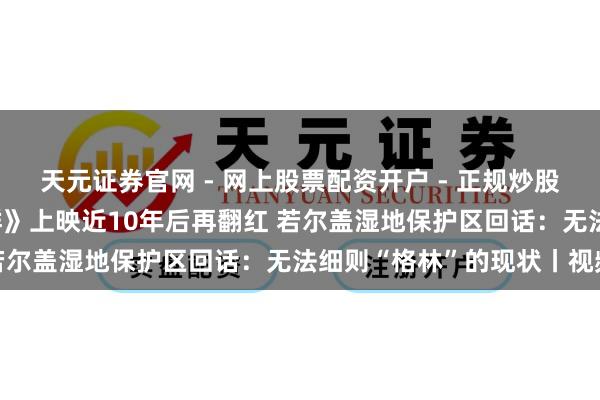 天元证券官网 - 网上股票配资开户 - 正规炒股杠杆如何注册 《重返狼群》上映近10年后再翻红 若尔盖湿地保护区回话：无法细则“格林”的现状丨视频