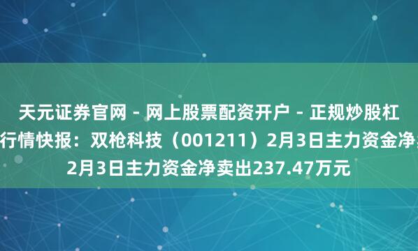 天元证券官网 - 网上股票配资开户 - 正规炒股杠杆如何注册 股票行情快报：双枪科技（001211）2月3日主力资金净卖出237.47万元