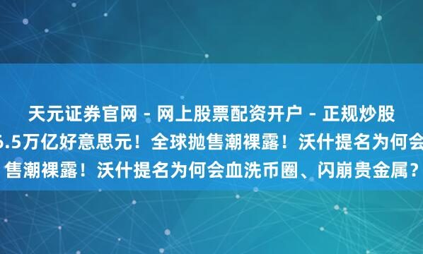 天元证券官网 - 网上股票配资开户 - 正规炒股杠杆如何注册 一天挥发6.5万亿好意思元！全球抛售潮裸露！沃什提名为何会血洗币圈、闪崩贵金属？