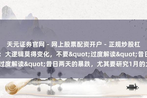 天元证券官网 - 网上股票配资开户 - 正规炒股杠杆如何注册 高盛走动员：大逻辑莫得变化，不要"过度解读"昔日两天的暴跌，尤其要研究1月的大涨