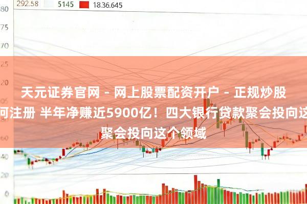 天元证券官网 - 网上股票配资开户 - 正规炒股杠杆如何注册 半年净赚近5900亿！四大银行贷款聚会投向这个领域