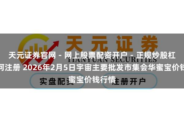 天元证券官网 - 网上股票配资开户 - 正规炒股杠杆如何注册 2026年2月5日宇宙主要批发市集会华蜜宝价钱行情
