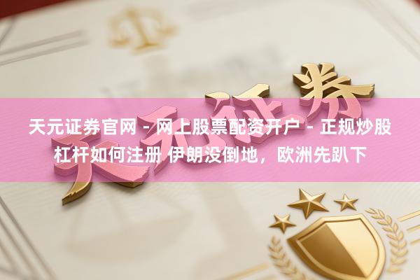 天元证券官网 - 网上股票配资开户 - 正规炒股杠杆如何注册 伊朗没倒地，欧洲先趴下