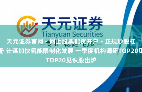 天元证券官网 - 网上股票配资开户 - 正规炒股杠杆如何注册 计谋加快氢能限制化发展 一季度机构调研TOP20见识股出炉